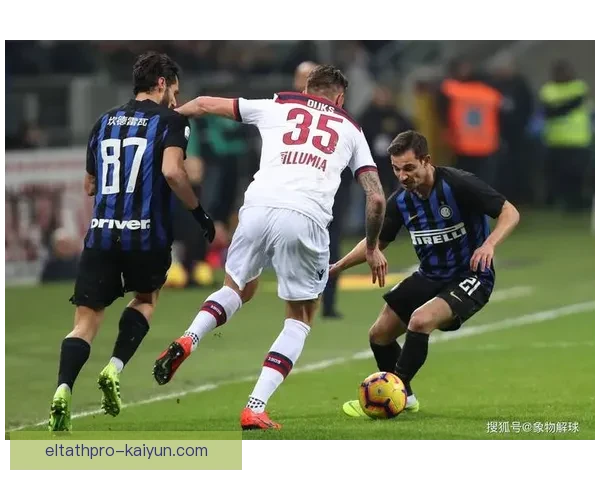 达姆斯高助攻数据持续提升，状态备受关注