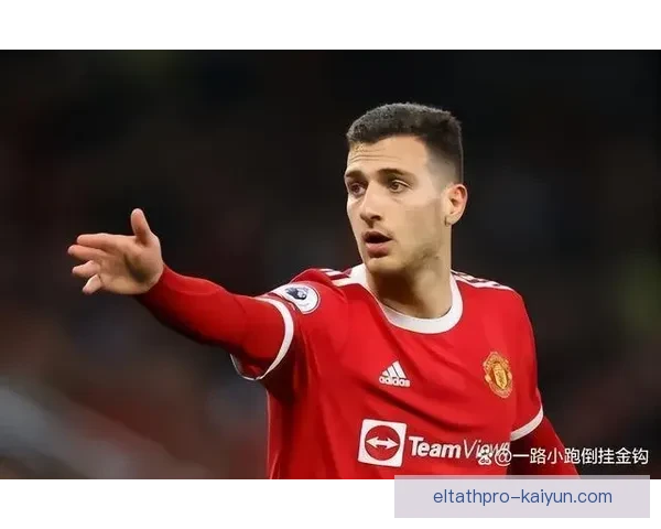 戴维斯边路进攻能力持续提升，本赛季表现稳健