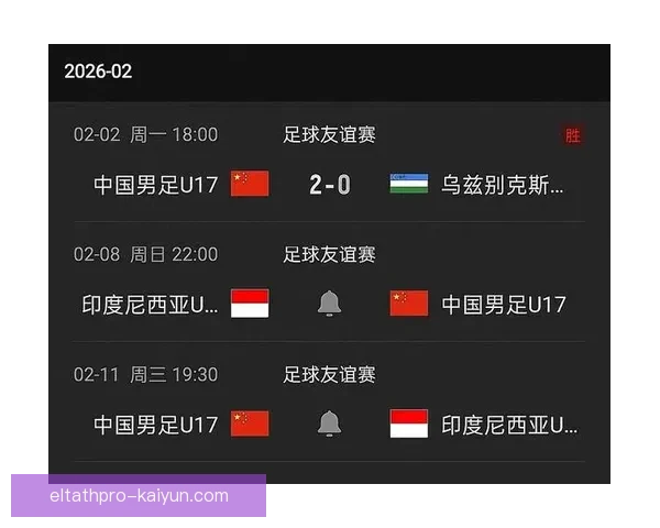 中国队亚洲杯分组形势及出线前景分析